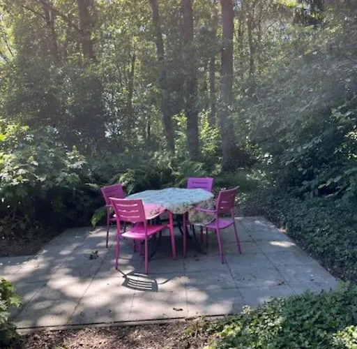 Vakantiewoning De Stevert Сasa de vacaciones